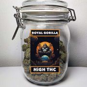 High THC Royal Gorilla