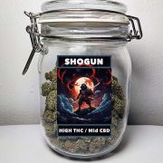High THC Shogun