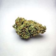 High THC Shogun