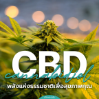 CBD (Cannabidiol): พลังแห่งธรรมชาติเพื่อสุขภาพคุณ